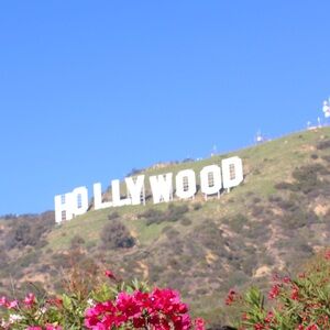 Meet your Posher, Lex